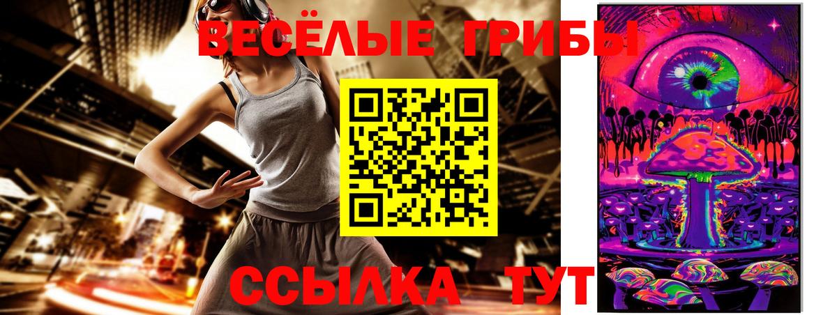 закладка  Вход с VPN  Ливны  Галлюциногенные грибы GOLDEN TEACHER  Псилоцибиновые грибы мухоморы 