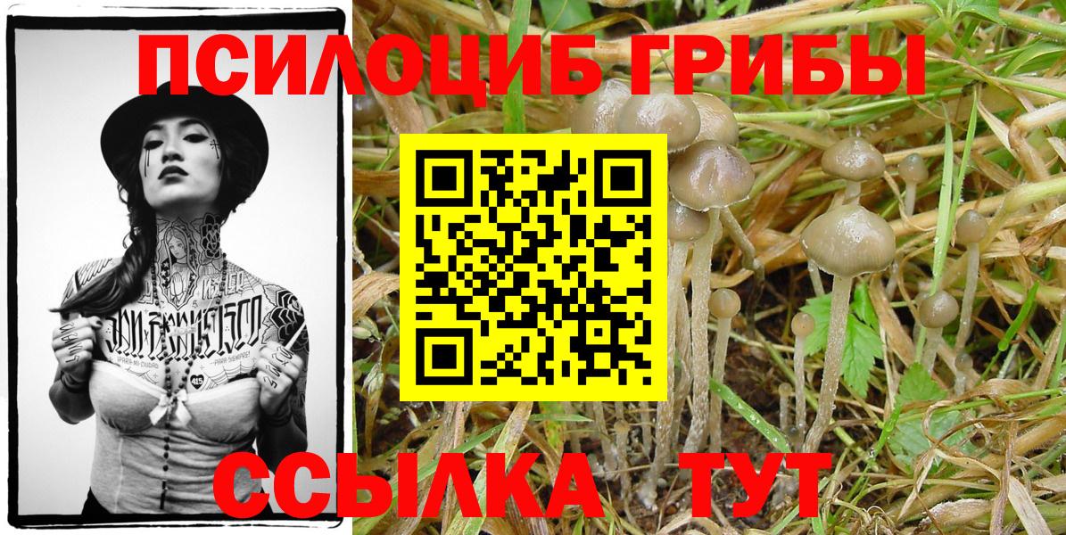 Псилоцибиновые грибы ЛСД Ливны